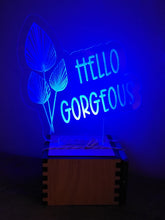 Load image into Gallery viewer, Lit Plant Lady Sign